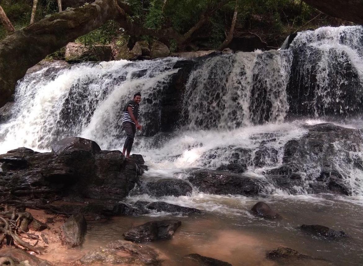 Robasta Tropica Form - With Private Waterfalls