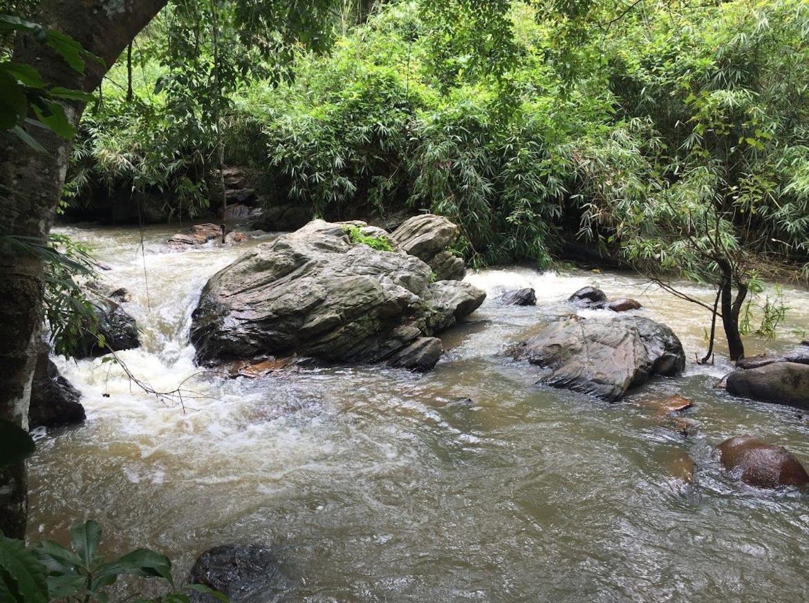 Farm stay Robasta Tropica Form - With Private Waterfalls *