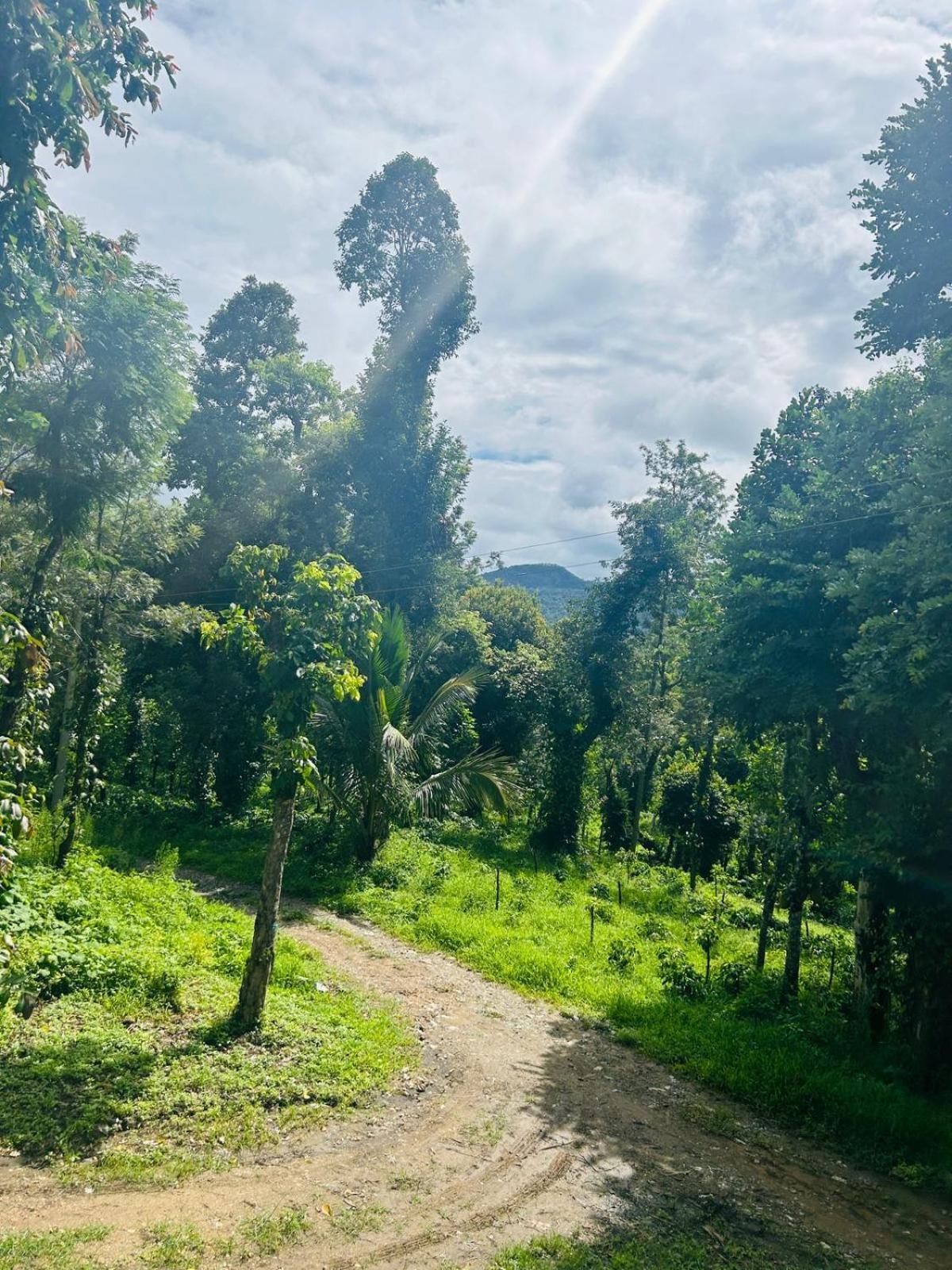 Farm stay Robasta Tropica Form - With Private Waterfalls Aldur